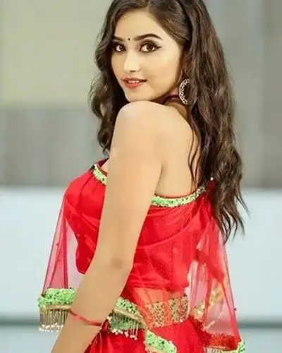 Call Girls Service Ellenabad
